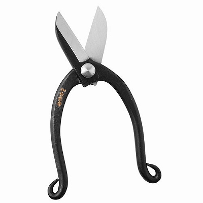 y[ւł̔iz r̖V 165mm