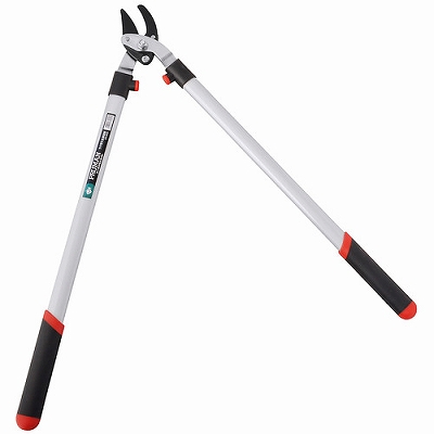 ܏\n PRUMAN A~pCv 炭葾} OM-600