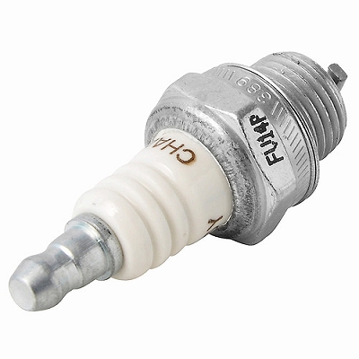 y[ւł̔iz ^GWp Xp[NvO CJ6YE591085