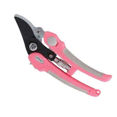 y[ւł̔izyؙ p NO.1371