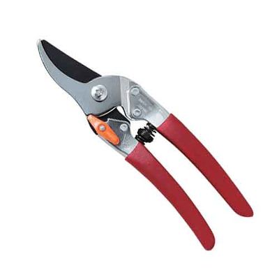 y[ւł̔izv^Cv NO.1255