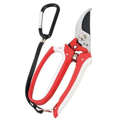 ���f�B�[�X������ SGP-32