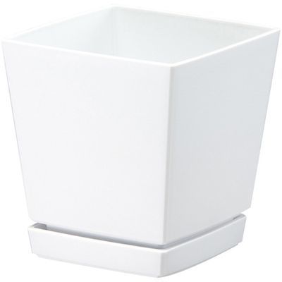 NG`[|bg Mt5 (0.8L zCg)