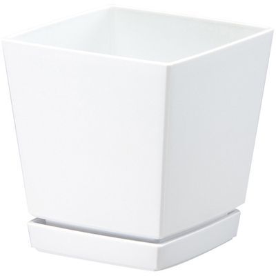 NG`[|bg Mt6 (1.4L zCg)