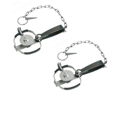 hqY ߊl gbv C type No.101 (2) ΏۓlY~