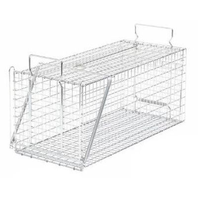 hqY ߊl D type No.402 ΏۓnNrVEACO}ELcl