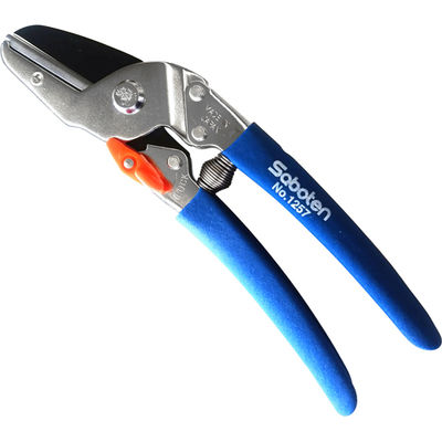 y[ւł̔izAr^ y×y(No.1257H)