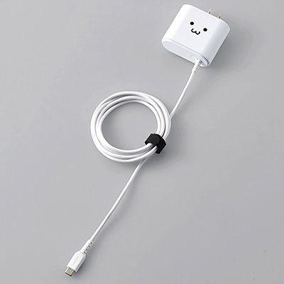 X}[gtHE^ubgpAC[d/Type-CP[ǔ^/2.4Ao/1.5m/zCgtFCX