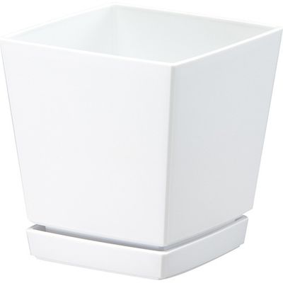 NG`[|bg Mt4 (0.6L zCg)