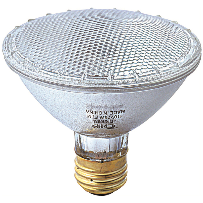 �n���Q���r�[��