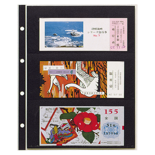 コレクションアルバム CA-303S (10枚)