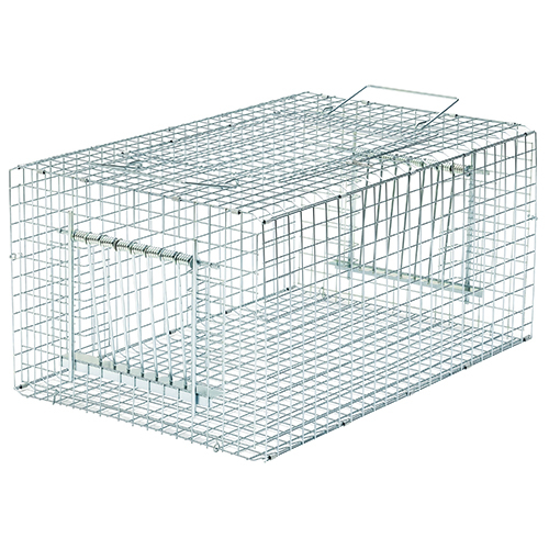 o[hgbvRF-type (E-01)