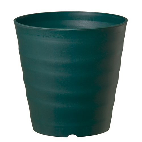 tO[|bg 36^ (24L _[NO[)