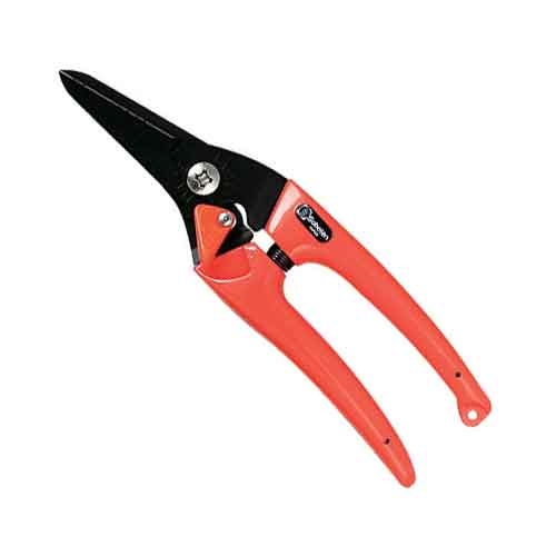 y[ւł̔izfB[XX (IW)