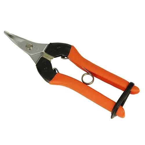 y[ւł̔izn͂ Ȑn (AG-1)