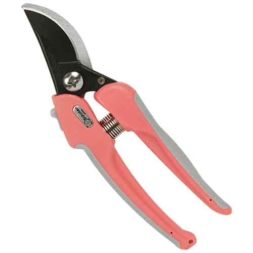 y[ւł̔izNbVt (P-32)