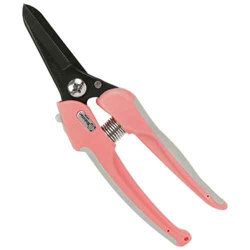 y[ւł̔izNbVtX (P-33)