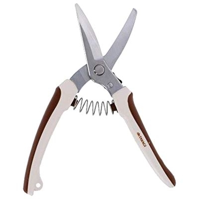 y[ւł̔iz{ntXeXRnؙ 200mm