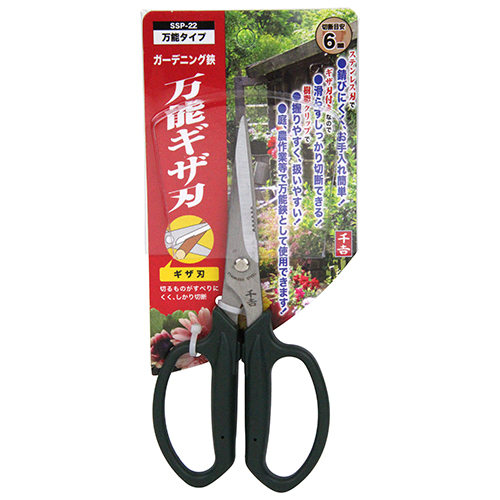 y[ւł̔izK[fjO\MUn (SSP-22)