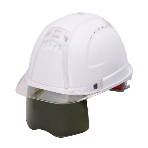 FeB[vX (NO.391F-C-G)