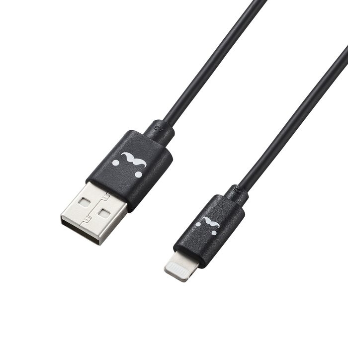 y[ւł̔izCgjOP[u 30cm Lightning USB-A