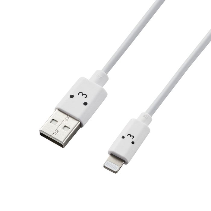 y[ւł̔izCgjOP[u 30cm Lightning USB-A