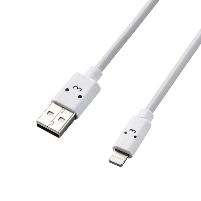 y[ւł̔izCgjOP[u 1.2m Lightning USB-A