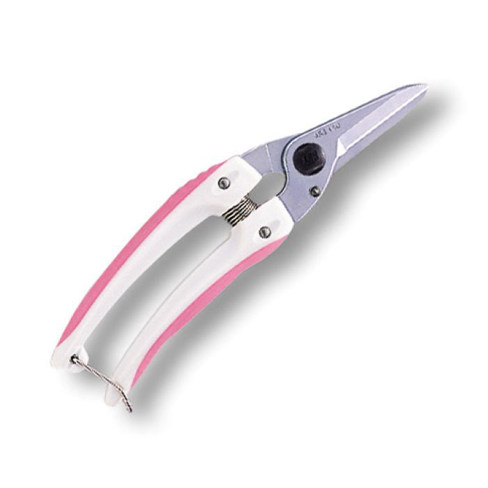 y[ւł̔izt@~[fbNX sN