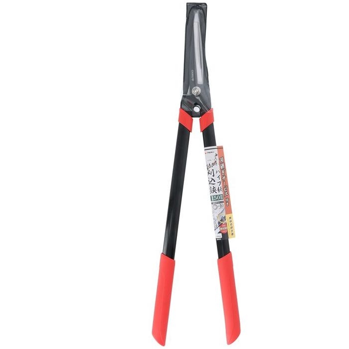 TAKAGI {pCv 150mm
