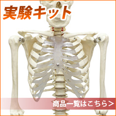 実験キット
